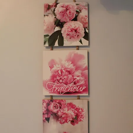 La Douce Charentaise 3* Mérignac