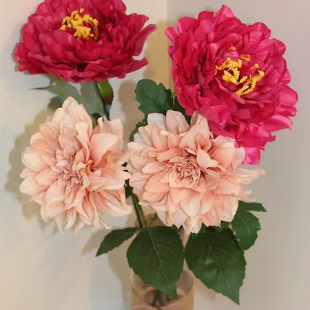 La Douce Charentaise Oda ve Kahvaltı